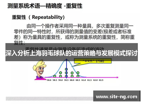 深入分析上海羽毛球队的运营策略与发展模式探讨