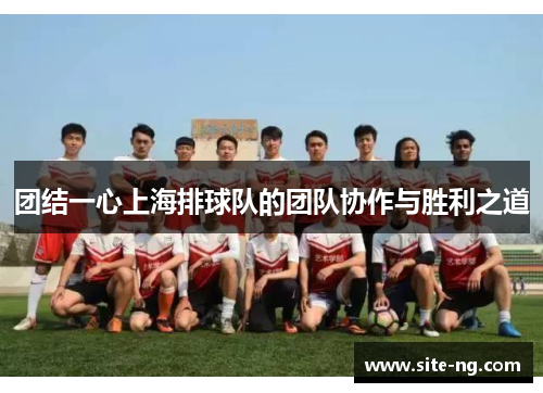 团结一心上海排球队的团队协作与胜利之道