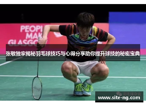 张敏独家揭秘羽毛球技巧与心得分享助你提升球技的秘密宝典
