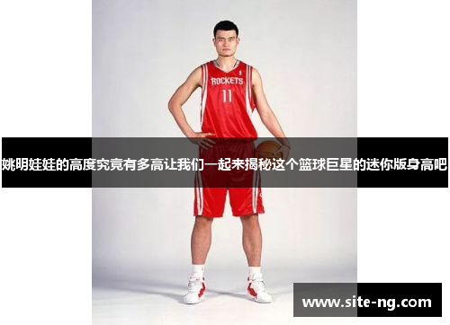姚明娃娃的高度究竟有多高让我们一起来揭秘这个篮球巨星的迷你版身高吧