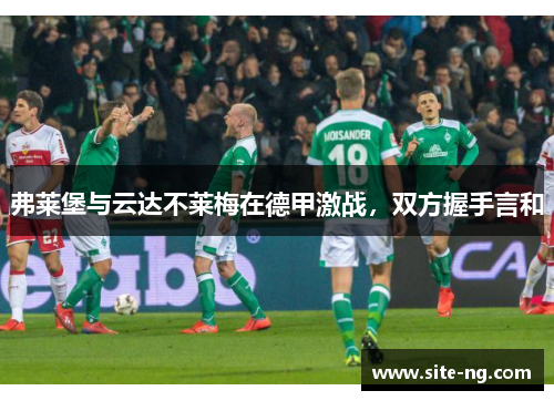 弗莱堡与云达不莱梅在德甲激战，双方握手言和