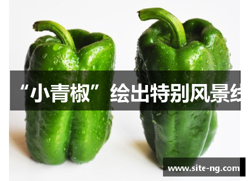 “小青椒”绘出特别风景线