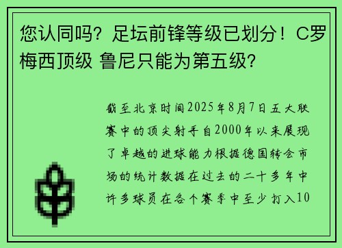 您认同吗？足坛前锋等级已划分！C罗梅西顶级 鲁尼只能为第五级？